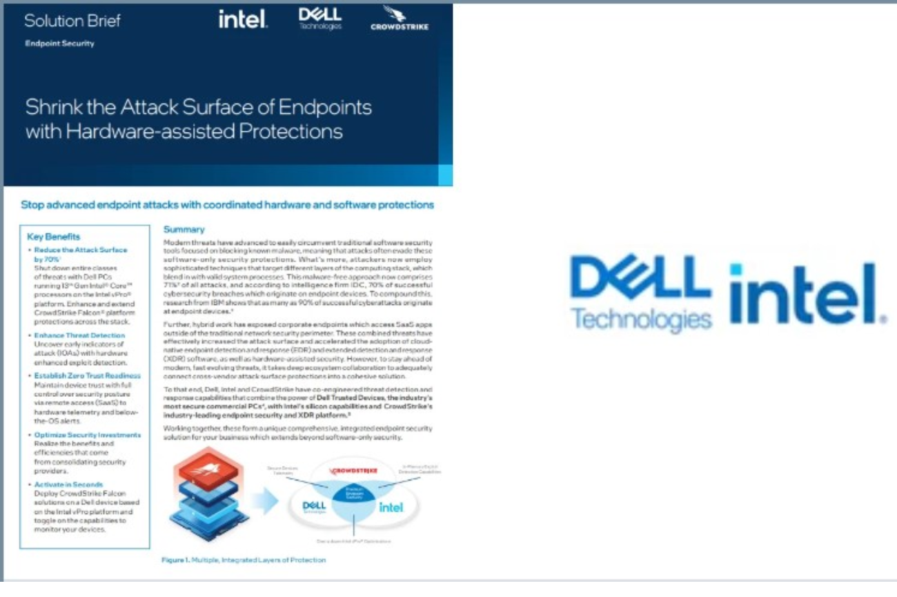 Shrink the Attack Surface of Endpoints with Hardware-assisted Protections